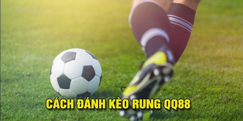 Cách Đánh Kèo Rung - Đánh Đâu Thắng Đó, Chỉ Có Ở QQ88 11 Cách đánh kèo rung