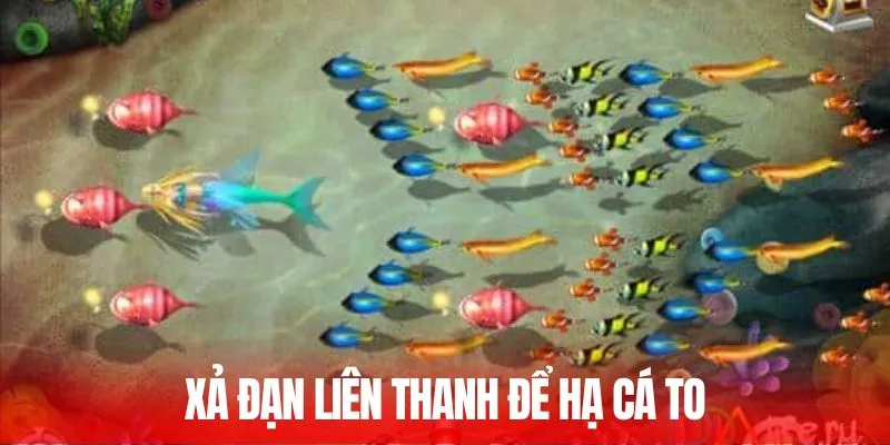 Cách Bắn Cá To Dễ Thắng - Kinh Nghiệm Xương Máu Từ Cao Thủ 3 Xả đạn liên thanh để hạ cá to